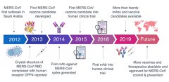 澳门威尼斯人网站目前尚无针对MERS-CoV的