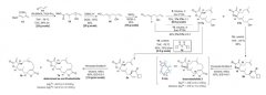 <b>澳门威尼斯人官网临床上对靶向癌症干细胞的药物具有迫切需求</b>